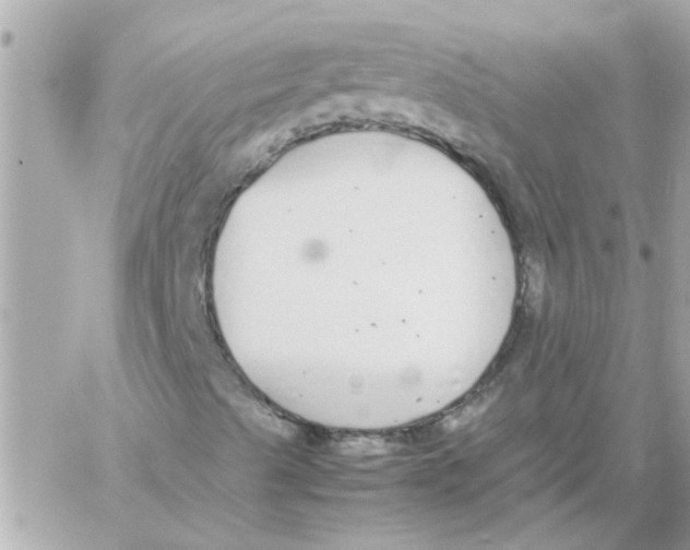 X0000057101489200510071923