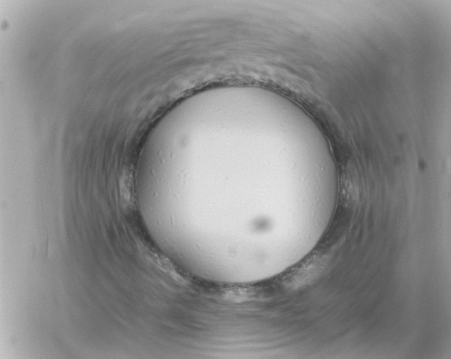 X0000057101490200510071923