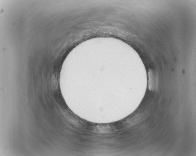 X0000057101491200510071923