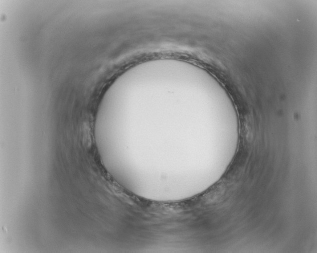 X0000057101493200510071923