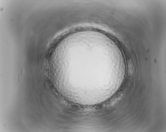 X0000057101494200510071923