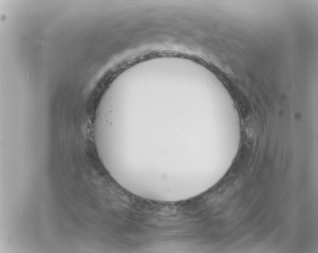 X0000057101495200510071923