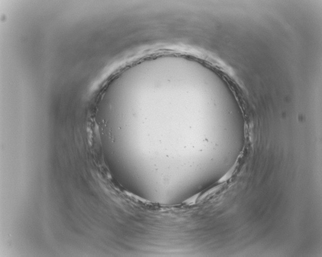 X0000057101496200510071923