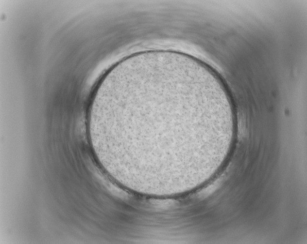 X0000057101498200510071923