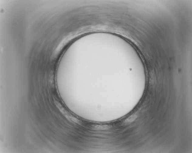 X0000057101499200510071923