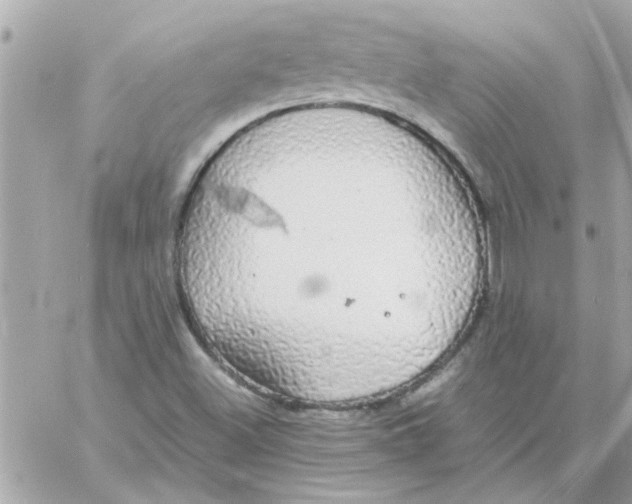 X0000057101500200510071923