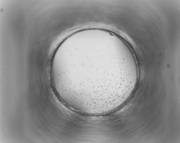 X0000057101504200510071923