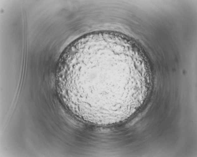 X0000057101505200510071923