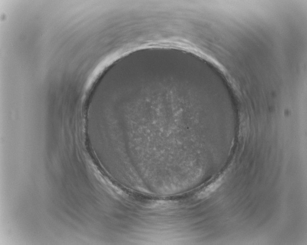 X0000057101506200510071923