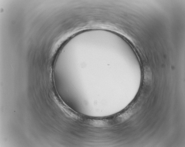 X0000057101507200510071923