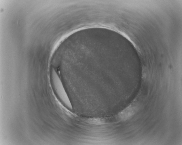 X0000057101508200510071923