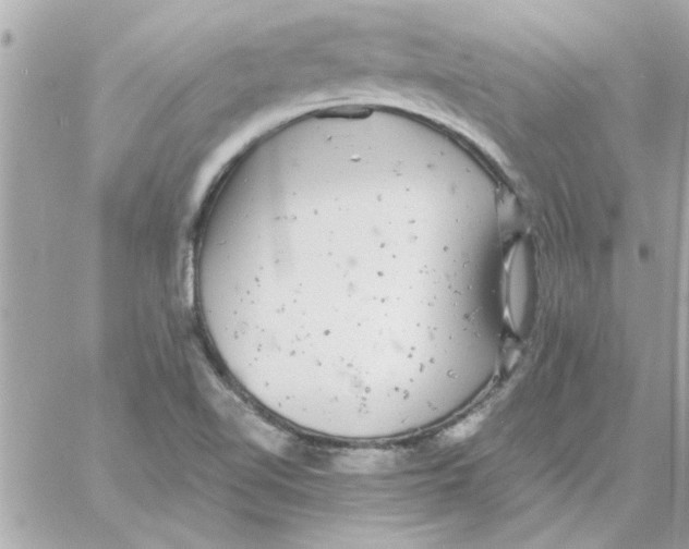 X0000057101510200510071923