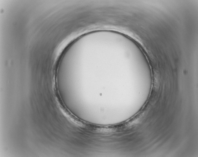 X0000057101511200510071924