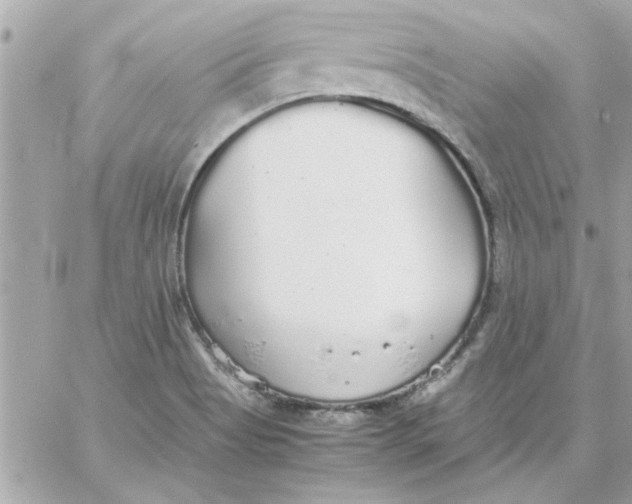 X0000057101513200510071924