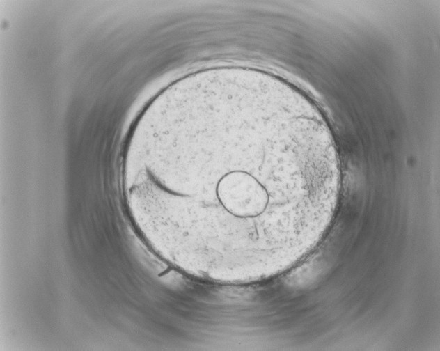 X0000057101514200510071924