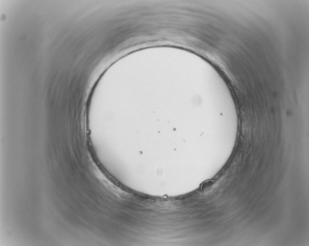 X0000057101516200510071924