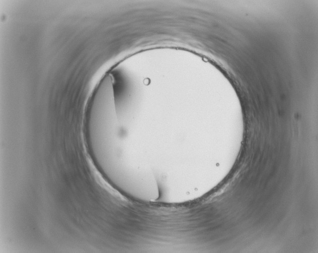 X0000057101518200510071924