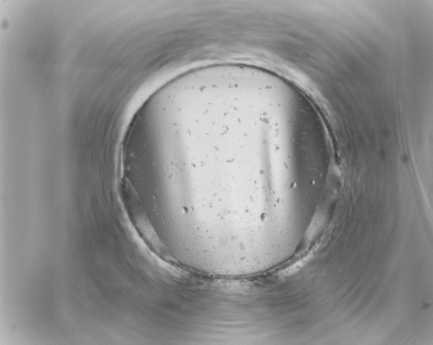 X0000057101520200510071924