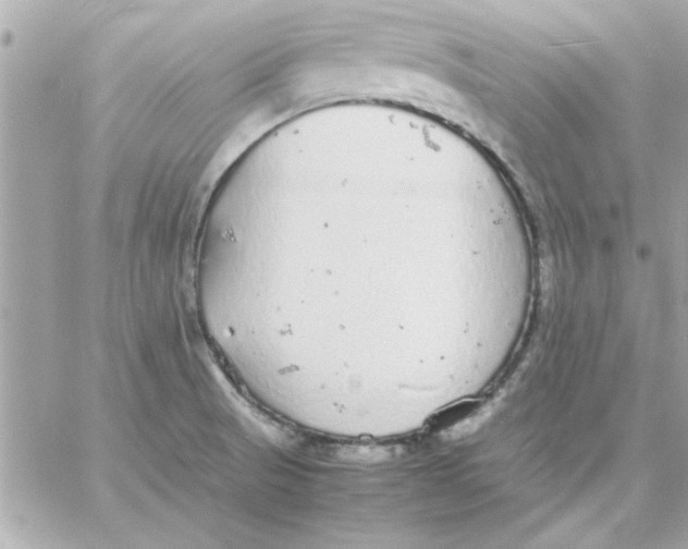 X0000057101521200510071924