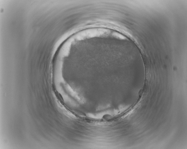 X0000057101522200510071924