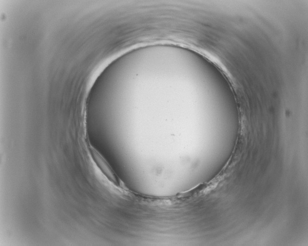 X0000057101524200510071924