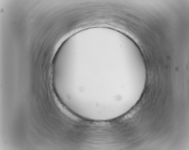 X0000057101526200510071924