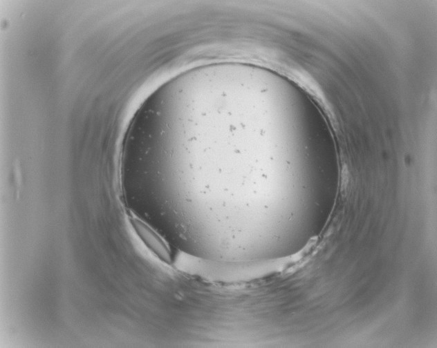 X0000057101528200510071924