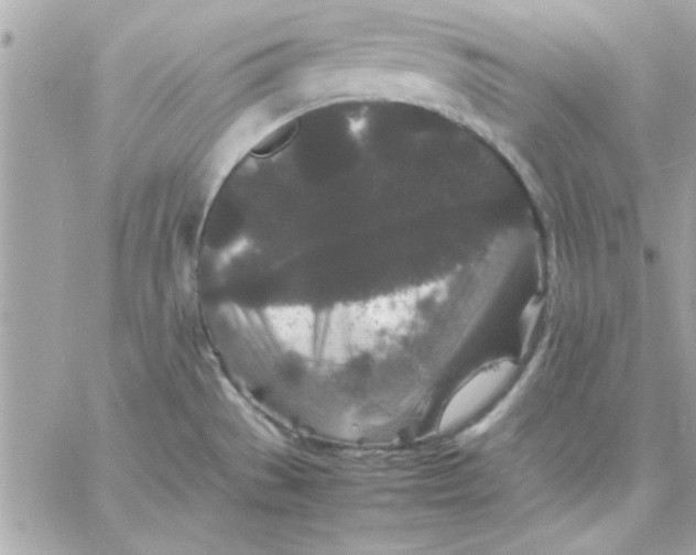 X0000057101529200510071924