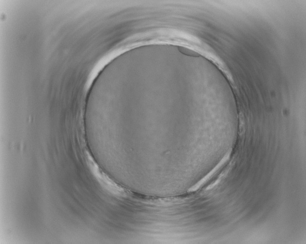 X0000057101530200510071924