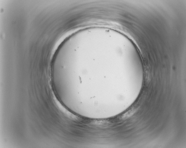 X0000057101531200510071924