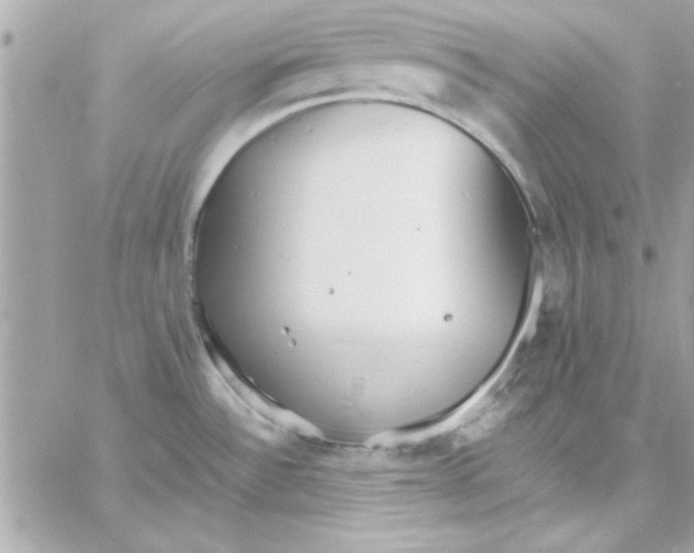 X0000057101532200510071924