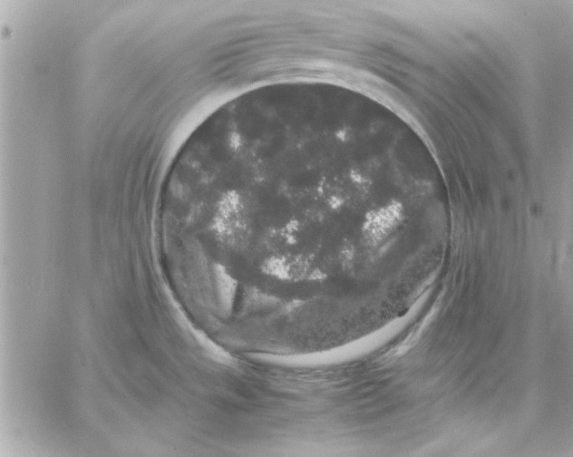 X0000057101533200510071924