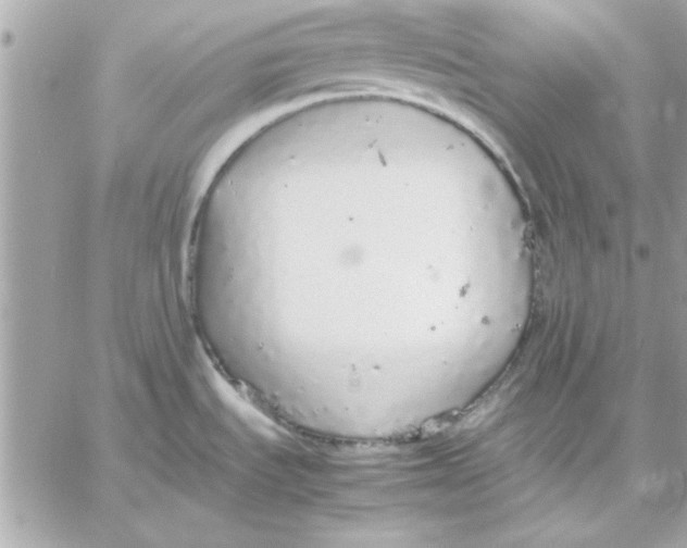 X0000057101535200510071924