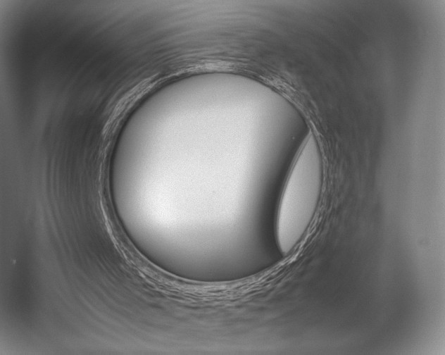 X0000057560001200509160822