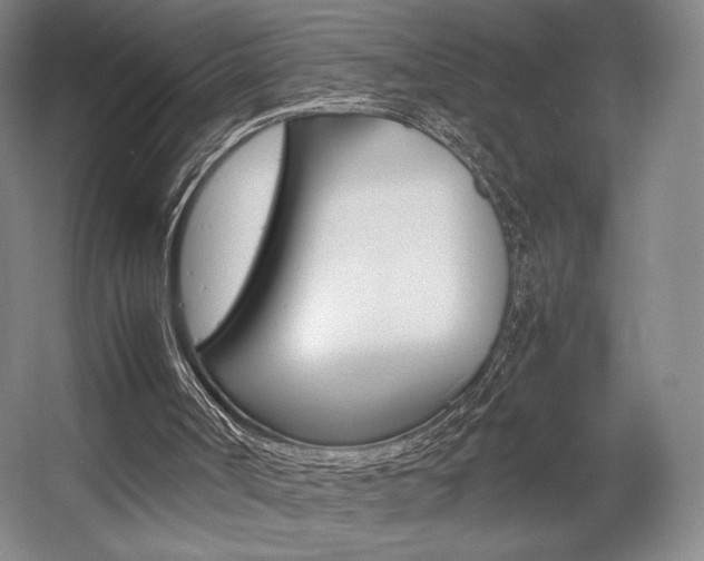 X0000057560002200509160822