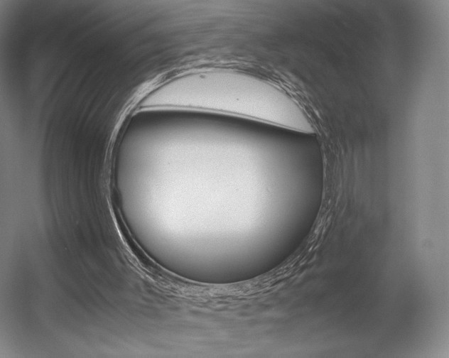 X0000057560003200509160822