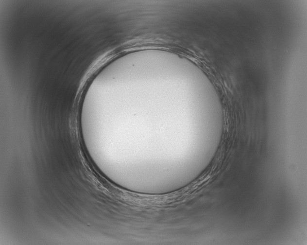 X0000057560004200509160822