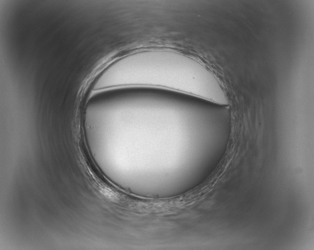 X0000057560005200509160822