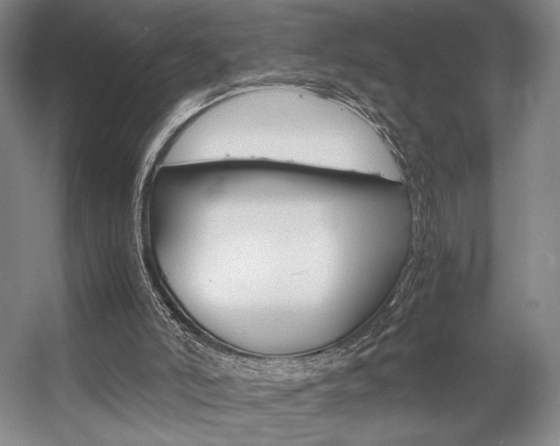 X0000057560006200509160822