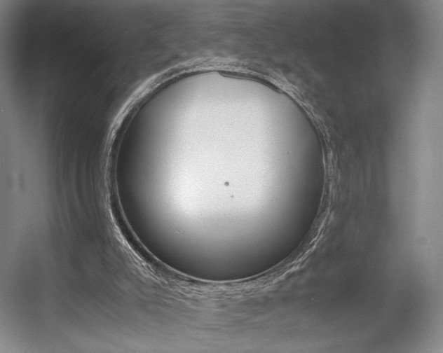 X0000057560007200509160822