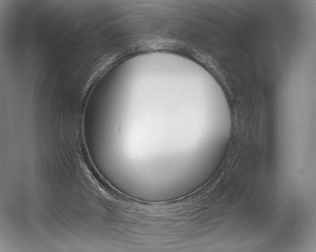 X0000057560010200509160822