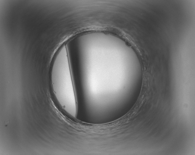 X0000057560011200509160822