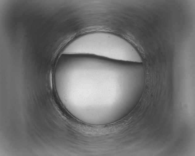 X0000057560014200509160822