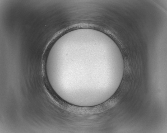 X0000057560016200509160822