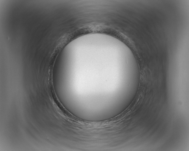 X0000057560018200509160822