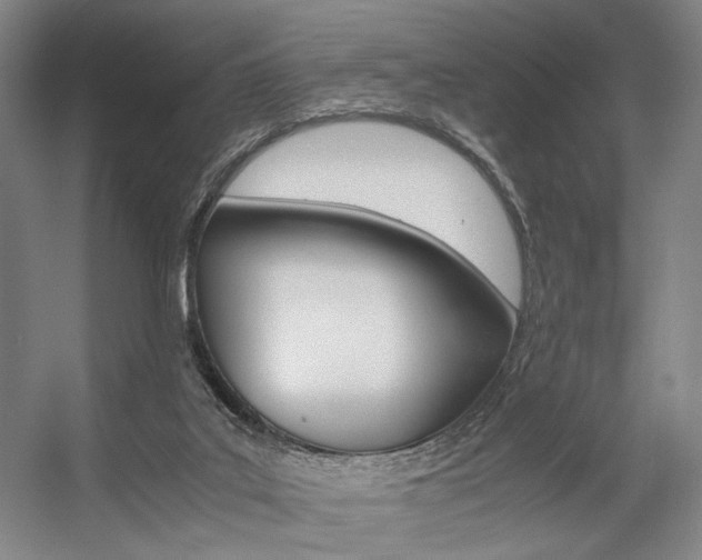 X0000057560019200509160822