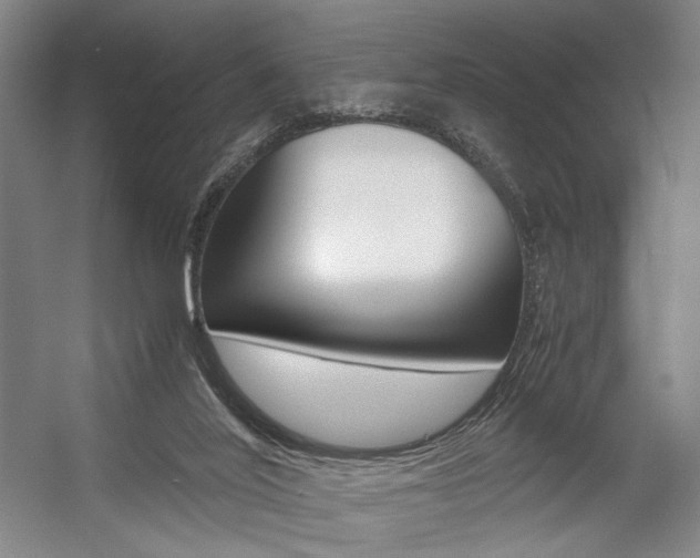 X0000057560020200509160822