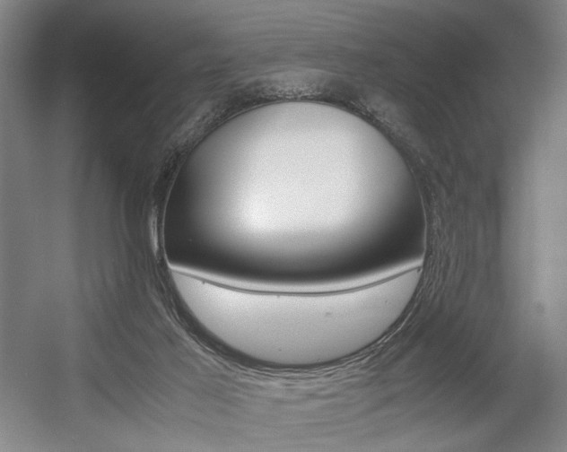 X0000057560021200509160822