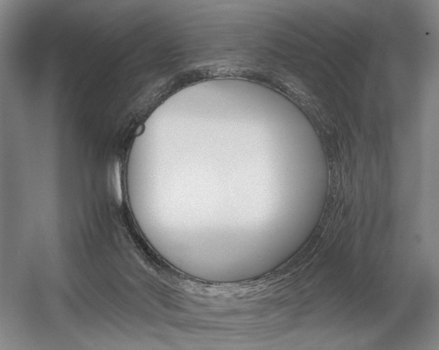 X0000057560022200509160822