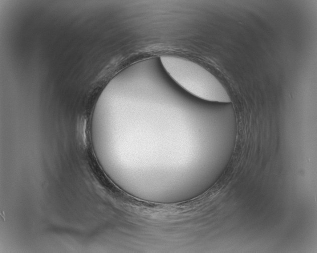 X0000057560024200509160822